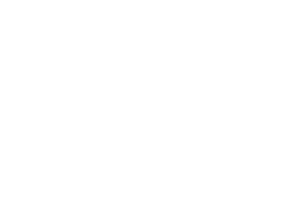 Park Nine logo