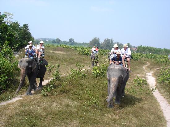 The Elephant Village