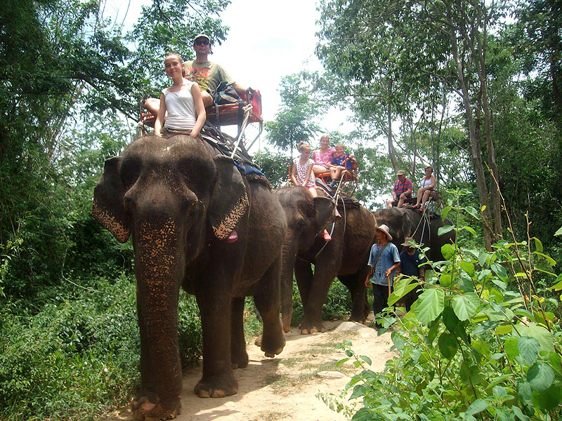 The Elephant Village