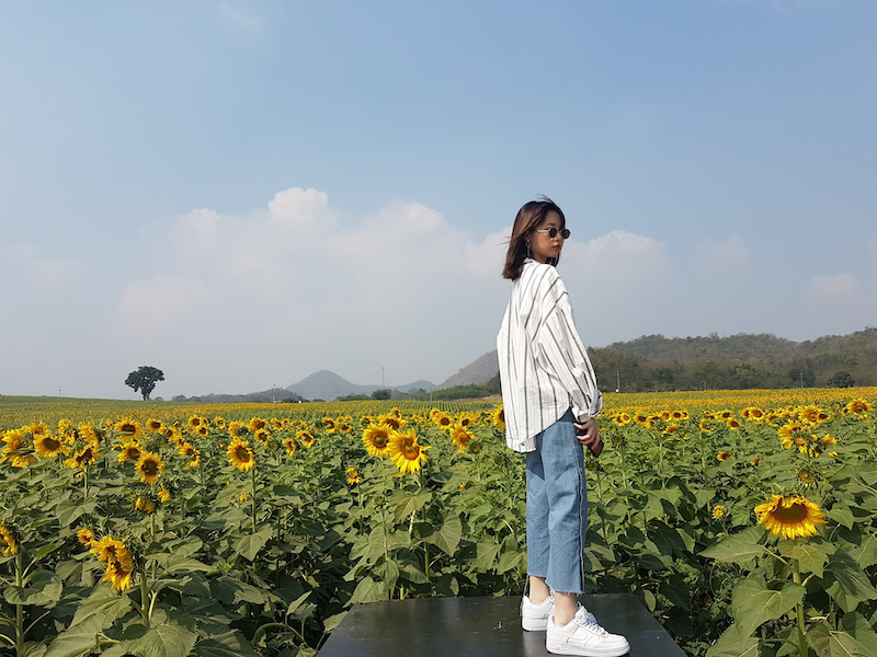 Manee Sorn Sunflower Field