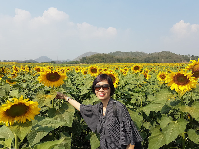 Manee Sorn Sunflower Field