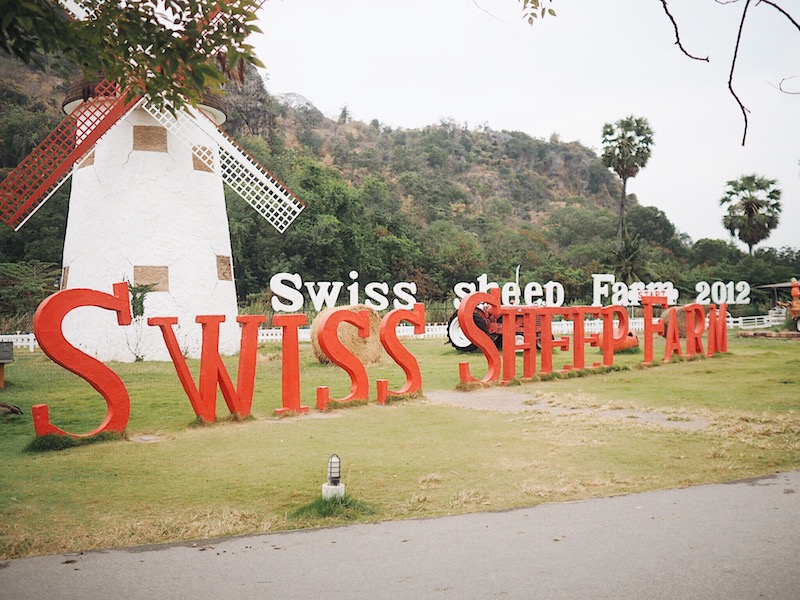 Swiss sheep farm